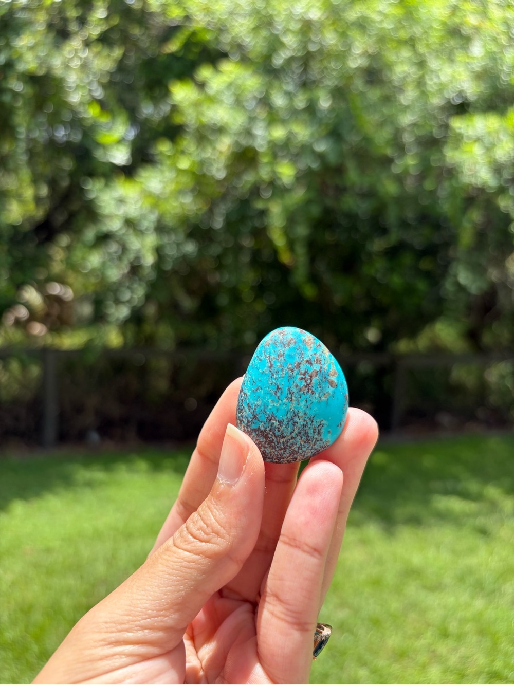 Bisbee Turquoise Cab 70 Carats